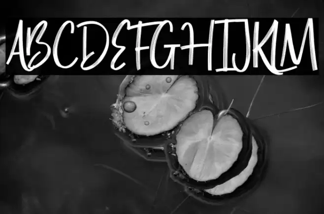 Blue Season Demo Font examples