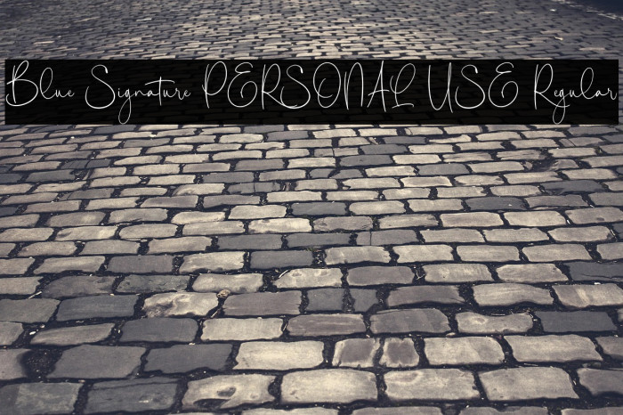 Blue Signature PERSONAL USE Regular Example 1