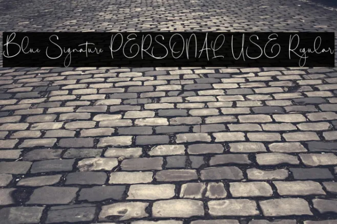 Blue Signature PERSONAL USE Regular Example 1