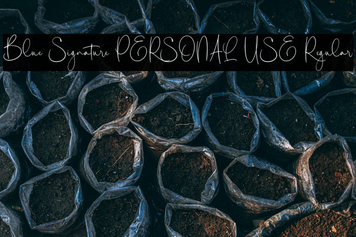 Blue Signature PERSONAL USE Regular Example 2