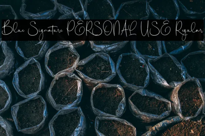 Blue Signature PERSONAL USE Regular Example 2