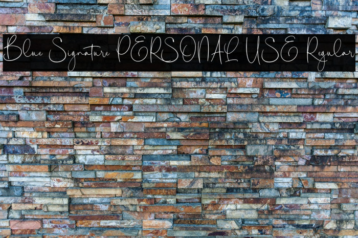 Blue Signature PERSONAL USE Regular Example 3