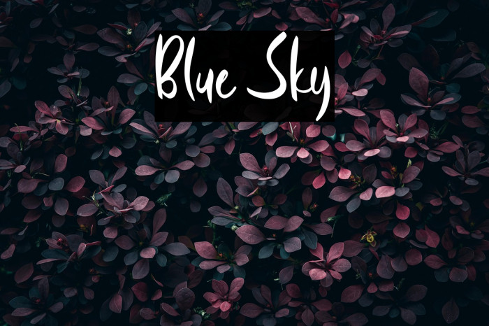 Blue Sky Example 1