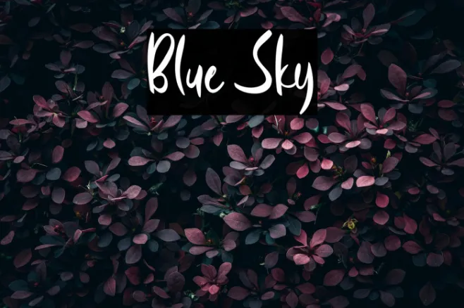Blue Sky Example 1