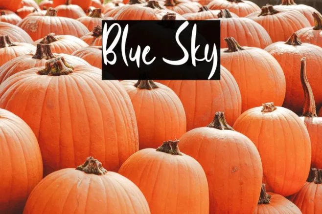 Blue Sky Example 3