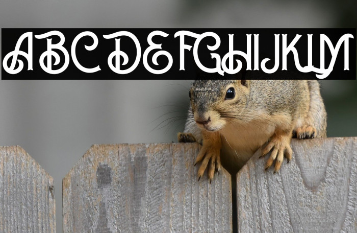 Blue Spirits Example 2