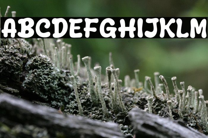 Blue Style Example 2