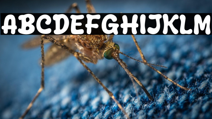 Blue Style Example 3