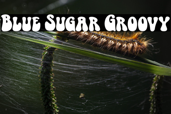 Blue Sugar Groovy Example 3