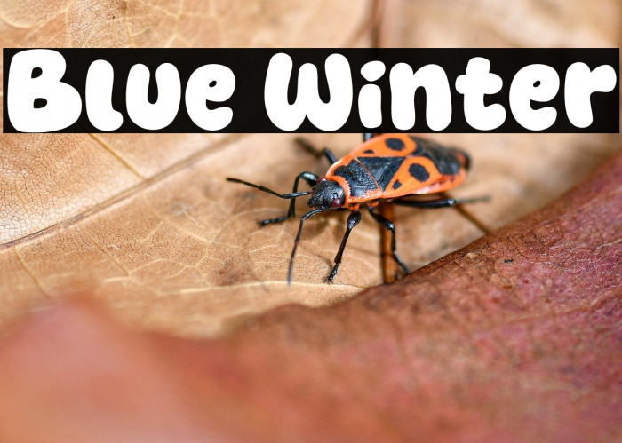 Blue Winter Example 3