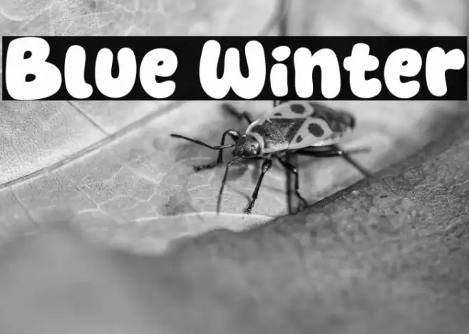 Blue Winter フォント examples