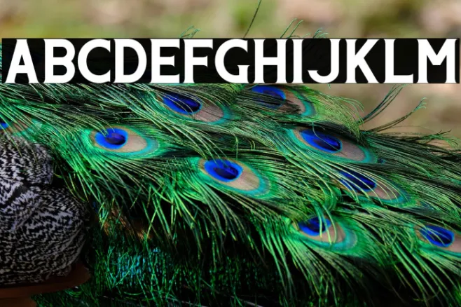 Blue Example 3