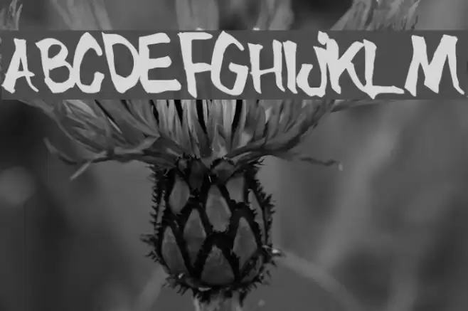 BlueBrush-Normal Font examples