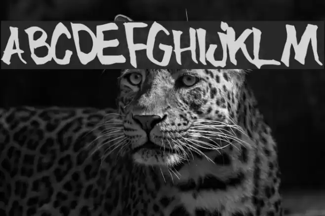 BlueBrush-Normal Font examples