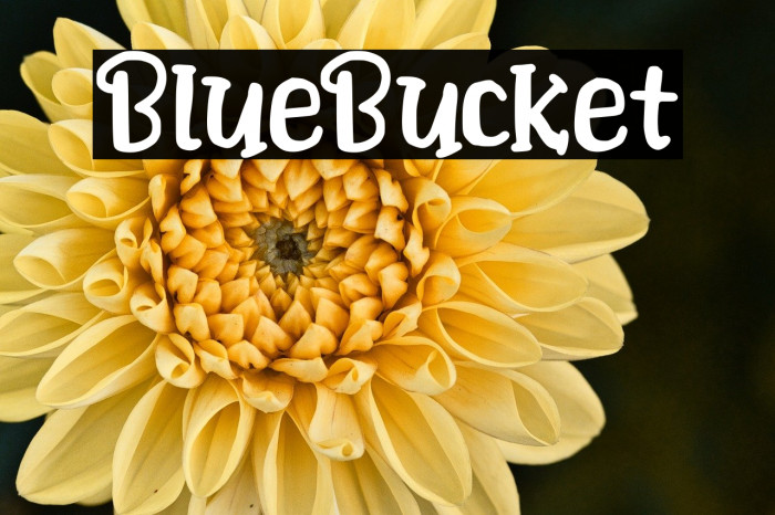BlueBucket Example 1