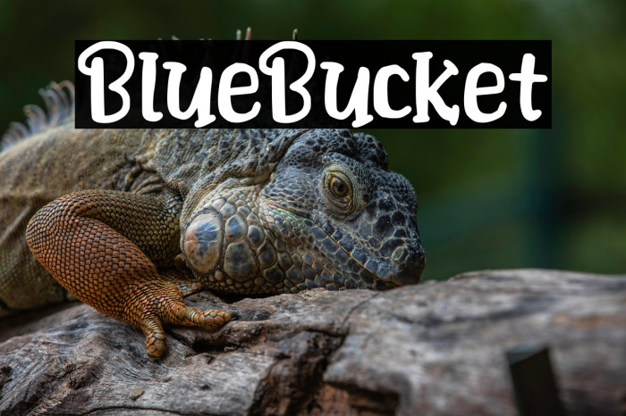 BlueBucket Example 2