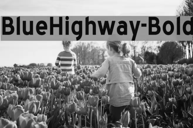 BlueHighway-Bold Font examples