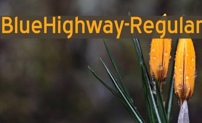 BlueHighway-Regular Font examples