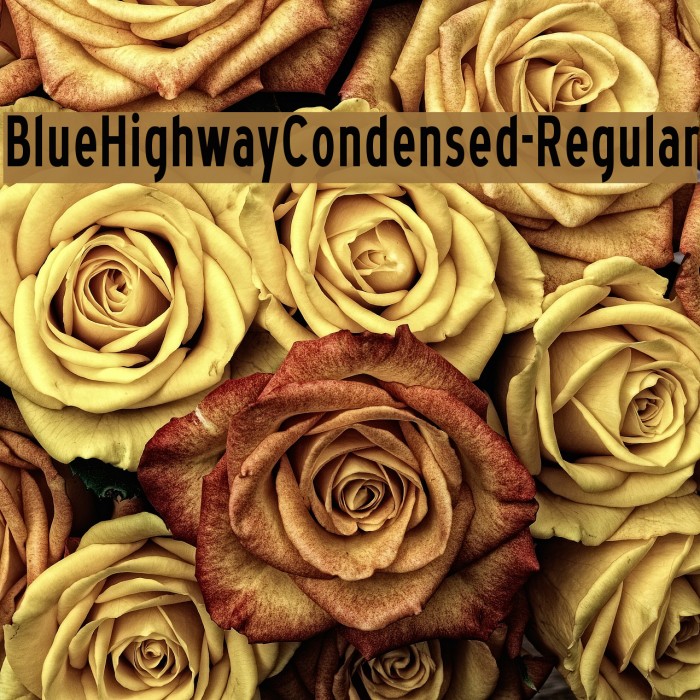 BlueHighwayCondensed-Regular Font examples