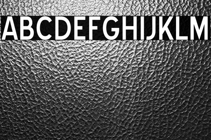 BlueHighwayD-Regular Example 3