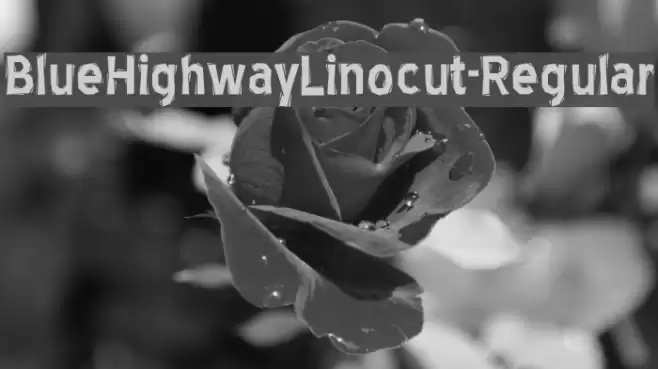 BlueHighwayLinocut-Regular Font examples