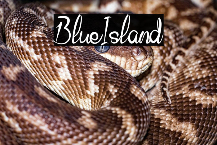 BlueIsland Example 3