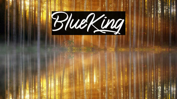 BlueKing Font examples