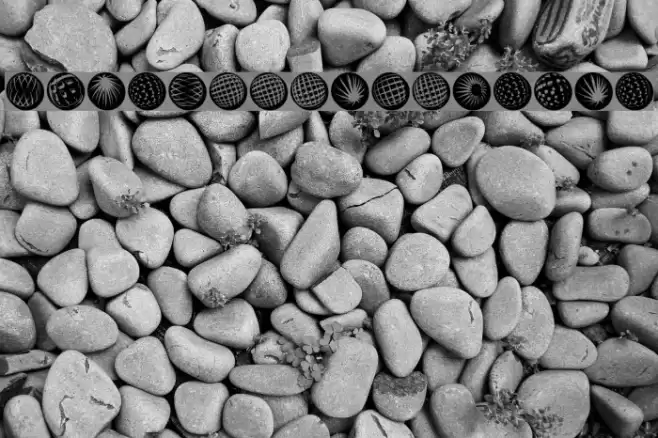 BlueMoonsInverse Font examples