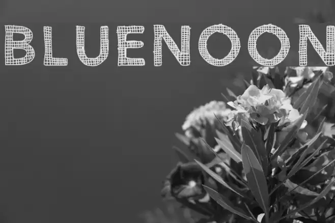 BlueNoon Font examples