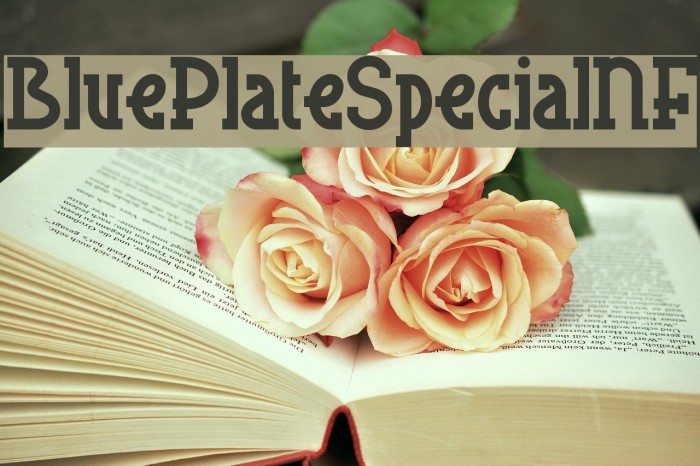 BluePlateSpecialNF Font examples
