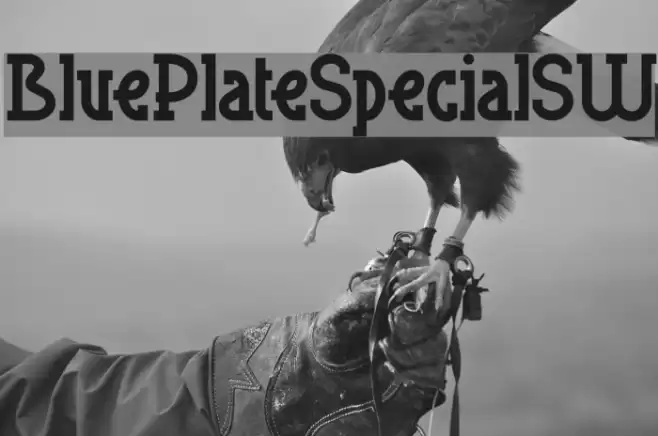 BluePlateSpecialSW Font examples