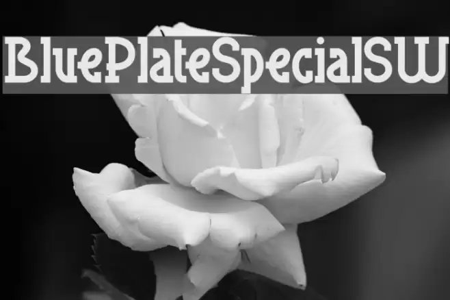BluePlateSpecialSW Font examples