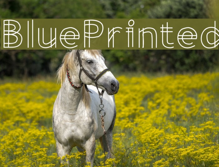 BluePrinted Example 1