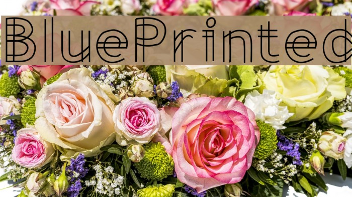 BluePrinted Example 2