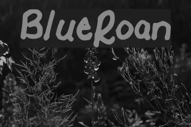 BlueRoan Font examples