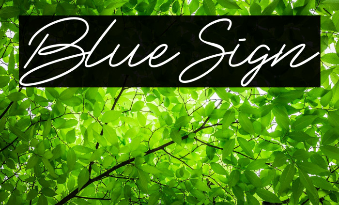 BlueSign Font examples