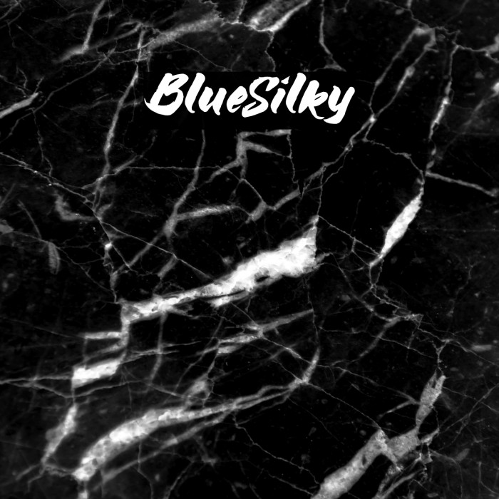 BlueSilky Example 1