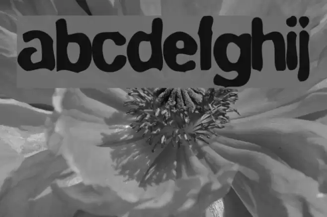 BlueVelvet Medium Schriftart examples