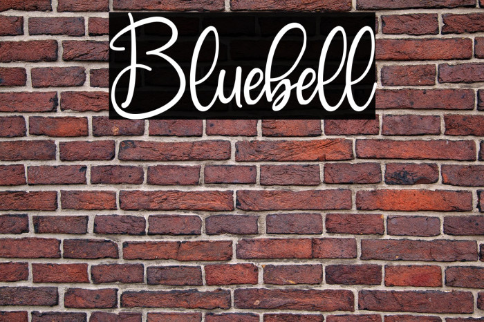 Bluebell Example 1