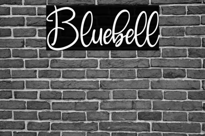 Bluebell Font examples