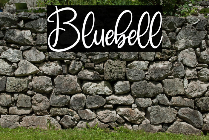 Bluebell Example 2