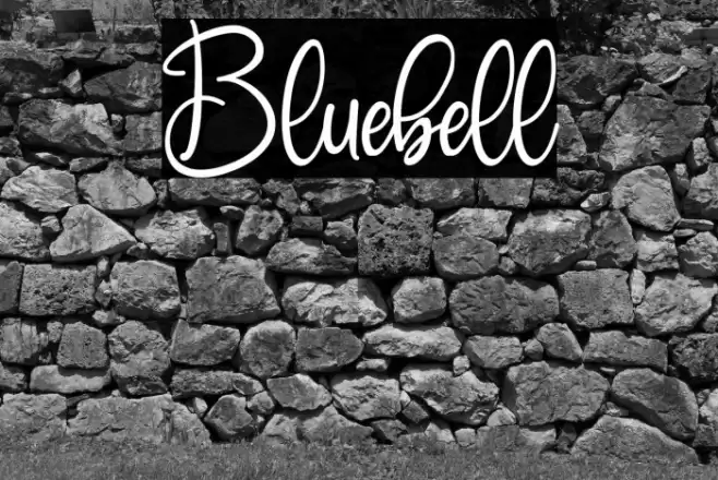 Bluebell Font examples