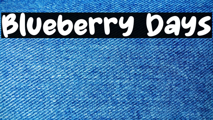 Blueberry Days Example 3