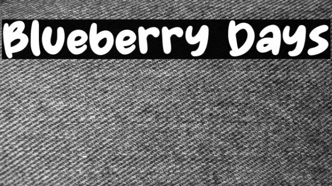 Blueberry Days Font examples