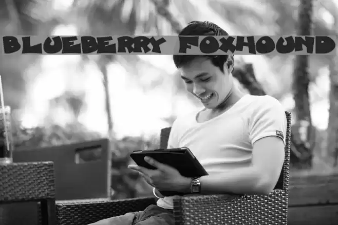 Blueberry Foxhound Font examples