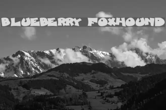 Blueberry Foxhound Font examples