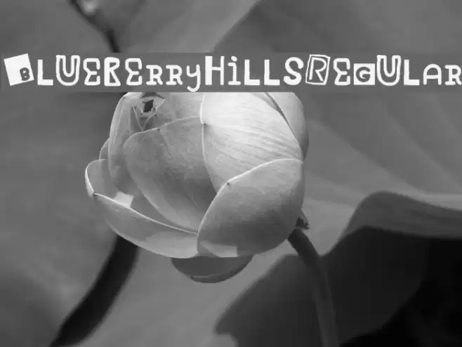 Blueberry Hills Regular Font examples