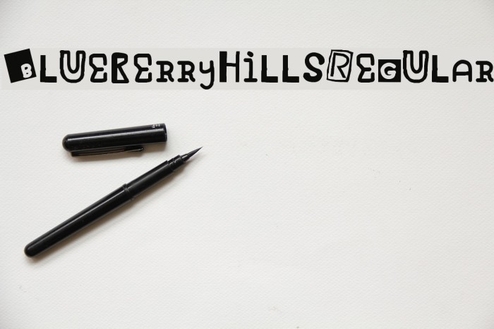 Blueberry Hills Regular Example 2