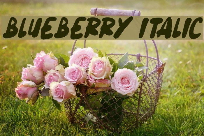 Blueberry Italic Example 3