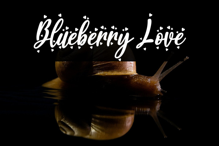 Blueberry Love Example 1